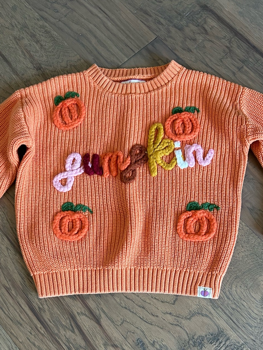 Cheeky Plum Orange Chenille Pumpkin Crewneck Sweater Girls Size 6Y